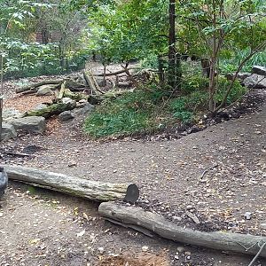 Chacoan peccary enclosure