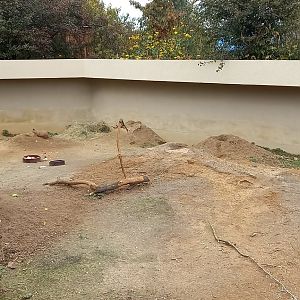 Prairiedog enclosure