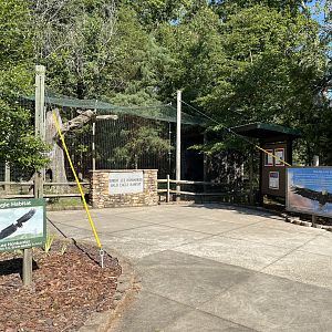 Rowan Wild-Bald Eagle Aviary