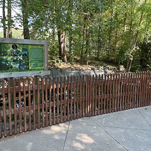 Rowan Wild-Wildlife Pond