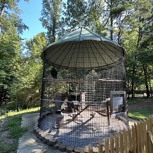 Rowan Wild-Black Vulture Cage