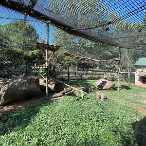 Rowan Wild-Bobcat Habitat