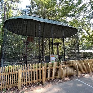 Rowan Wild-Red-tailed Hawk Cage