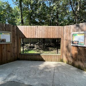 Rowan Wild-Red Fox Viewing