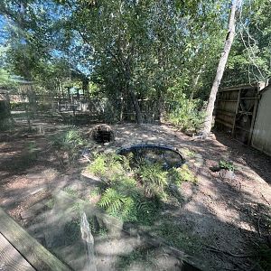 Rowan Wild-Alligator Habitat