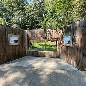 Rowan Wild-Groundhog Viewing