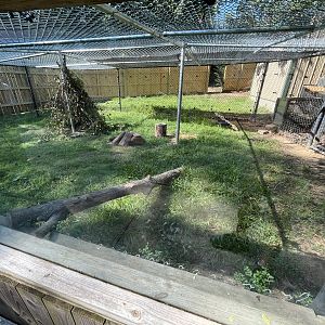 Rowan Wild-Groundhog Habitat