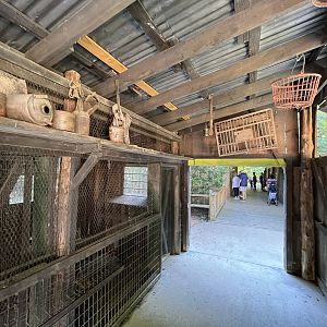 Rowan Wild-Chicken Coop Interior