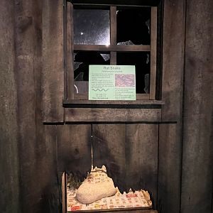 Nature Center-Rat Snake Exhibit