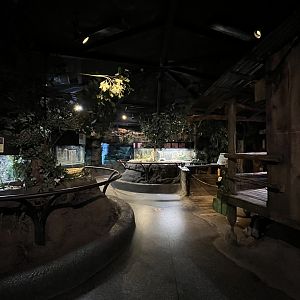 Nature Center Interior