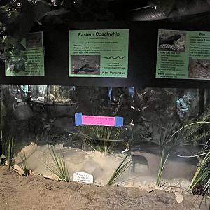 Nature Center-Empty Coachwhip Exhibit