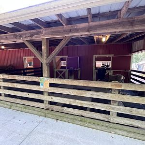 Barnyard-Donkey Pen