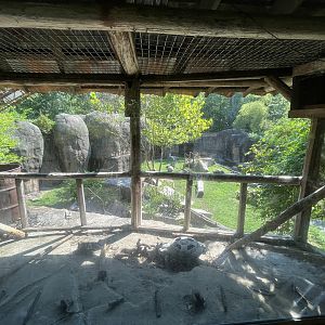 View into Black Bear Habitat through possible empty small animal exhibit