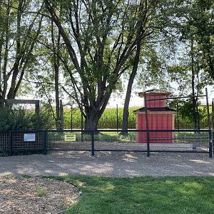 White-Naped Crane Exhibit