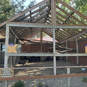 Giant Anteater Exhibit (Temporary)