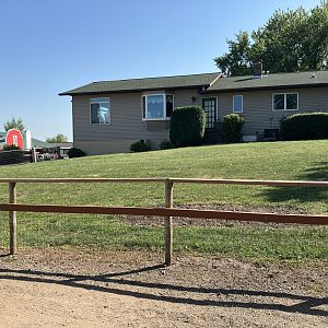 Former Spot of White-Crowned Hornbill Exhibit