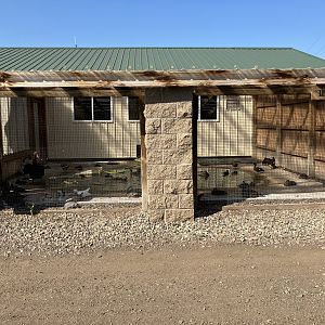 Side Waterfowl Exhibit
