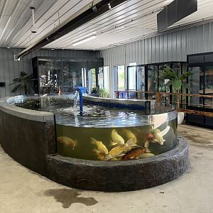 Rhino Stomping Grounds - Overview