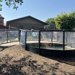 New North American River Otter Exhibit