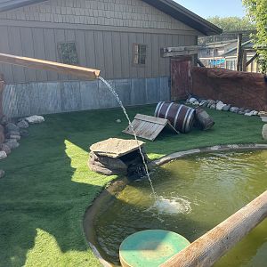New North American River Otter Exhibit