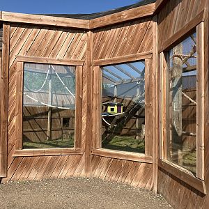 Canadian Lynx Exhibit (Temporary?)
