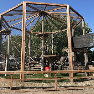 Mantled Guereza Exhibit
