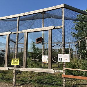 Hooded Crane Aviary