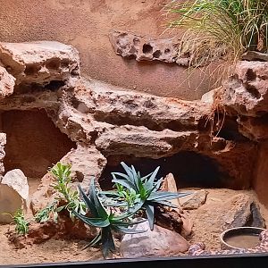 Enclosure Gial monster