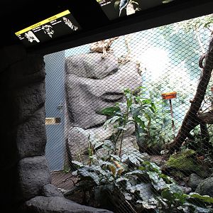 Tropical Asia aviary - Bird House