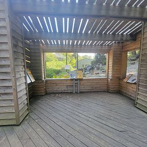 American Trail - Recently Renovated Bald Eagle Viewing Area