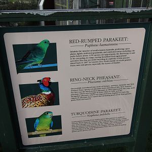 Signage, Virginia Lake Aviary