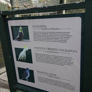 Signage, Virginia Lake Aviary