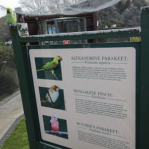 Signage, Virginia Lake Aviary