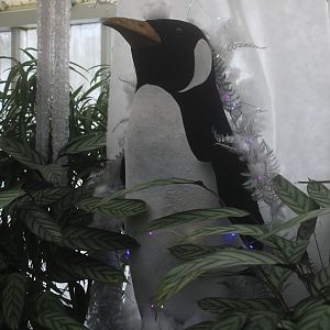 Statue of Penguin, Winter Gardens (Whanganui)
