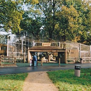 Amur Leopard Enclosure