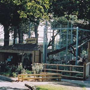 Amur Leopard Enclosure