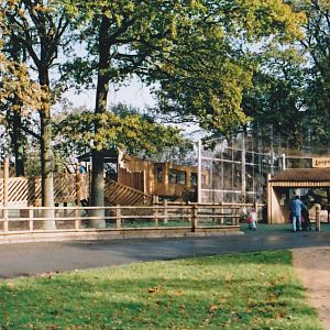 Amur Leopard Enclosure