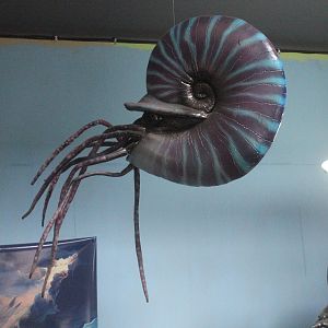 Model of Ammonite, The Dinosaur House (Raetihi)
