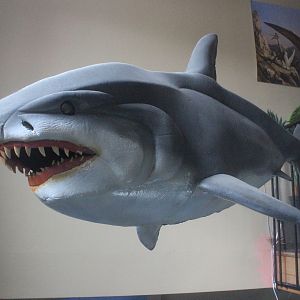 Model of Shark, The Dinosaur House (Raetihi)