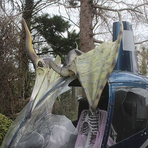 Model of Pteranodon, The Dinosaur House (Raetihi)