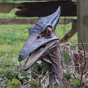 Model of Pteranodon, The Dinosaur House (Raetihi)
