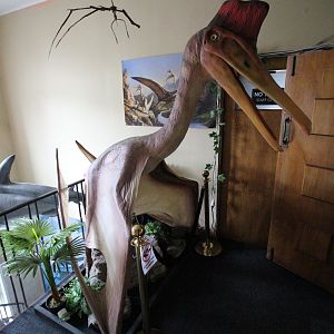 Animatronic of Quetzalcoatlus, The Dinosaur House (Raetihi)