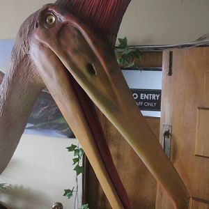 Animatronic of Quetzalcoatlus, The Dinosaur House (Raetihi)