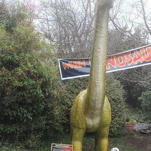 Model of Brachiosaurus, The Dinosaur House (Raetihi)