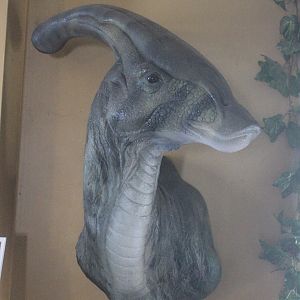 Model of Parasaurolophus, The Dinosaur House (Raetihi)