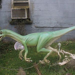 Model of Guanlong wucaii, The Dinosaur House (Raetihi)