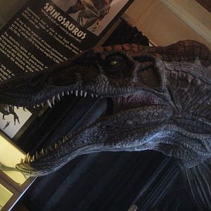 Model of Spinosaurus, The Dinosaur House (Raetihi)