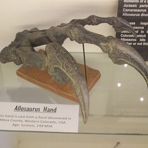 Model of Allosaurus hand fossil, The Dinosaur House (Raetihi)