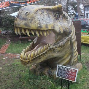 Model of Tyrannosaurus rex, The Dinosaur House (Raetihi)