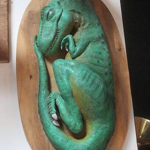 Model of Tyrannosaurus rex embryo, The Dinosaur House (Raetihi)